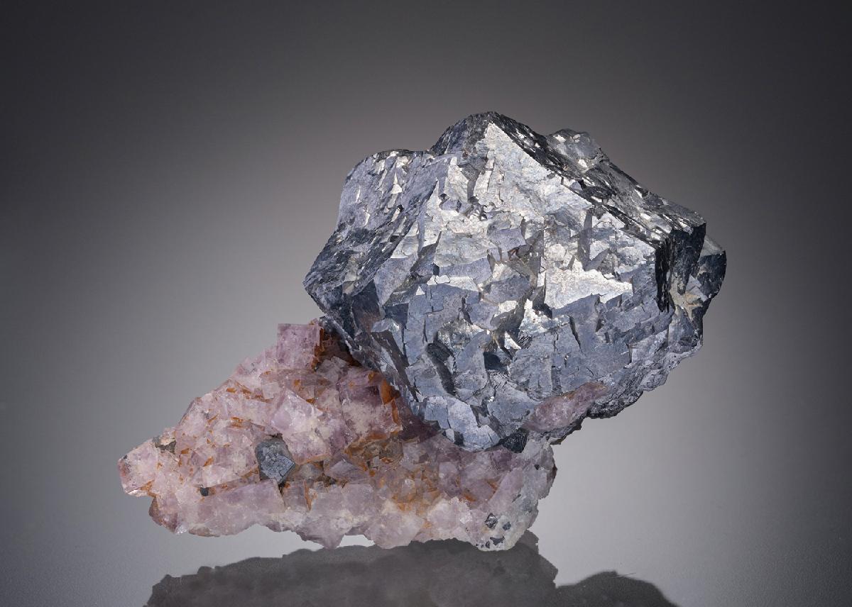 CC297 specimen image