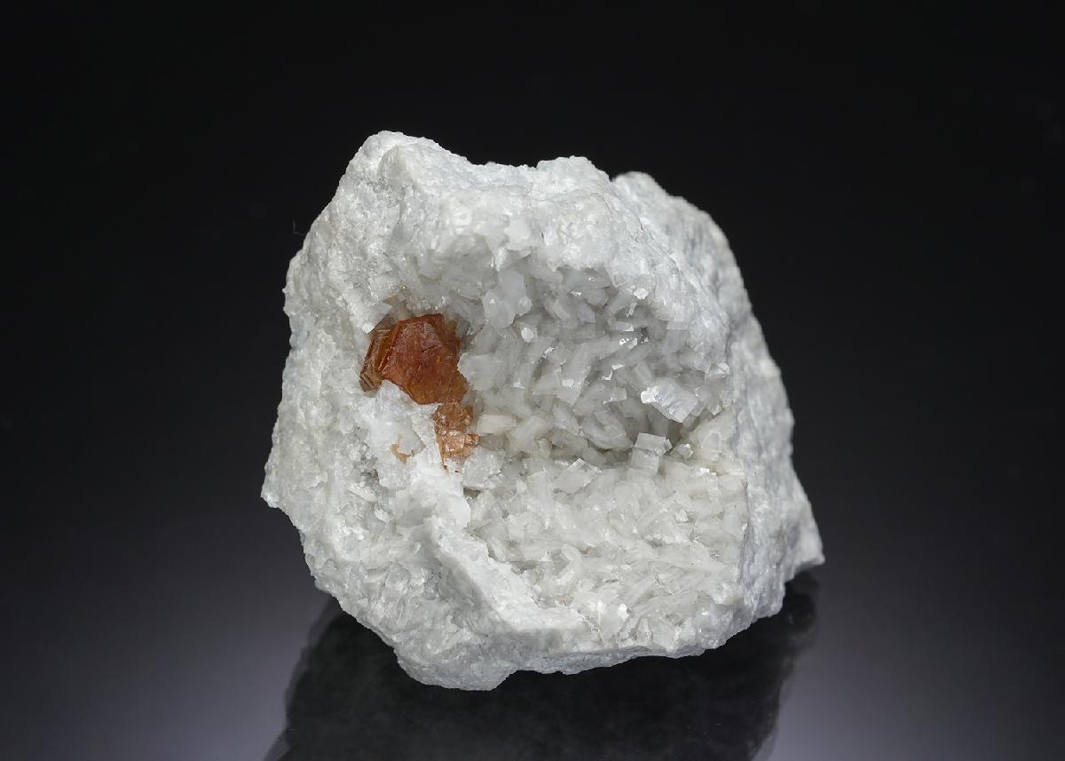 CC29707 specimen image