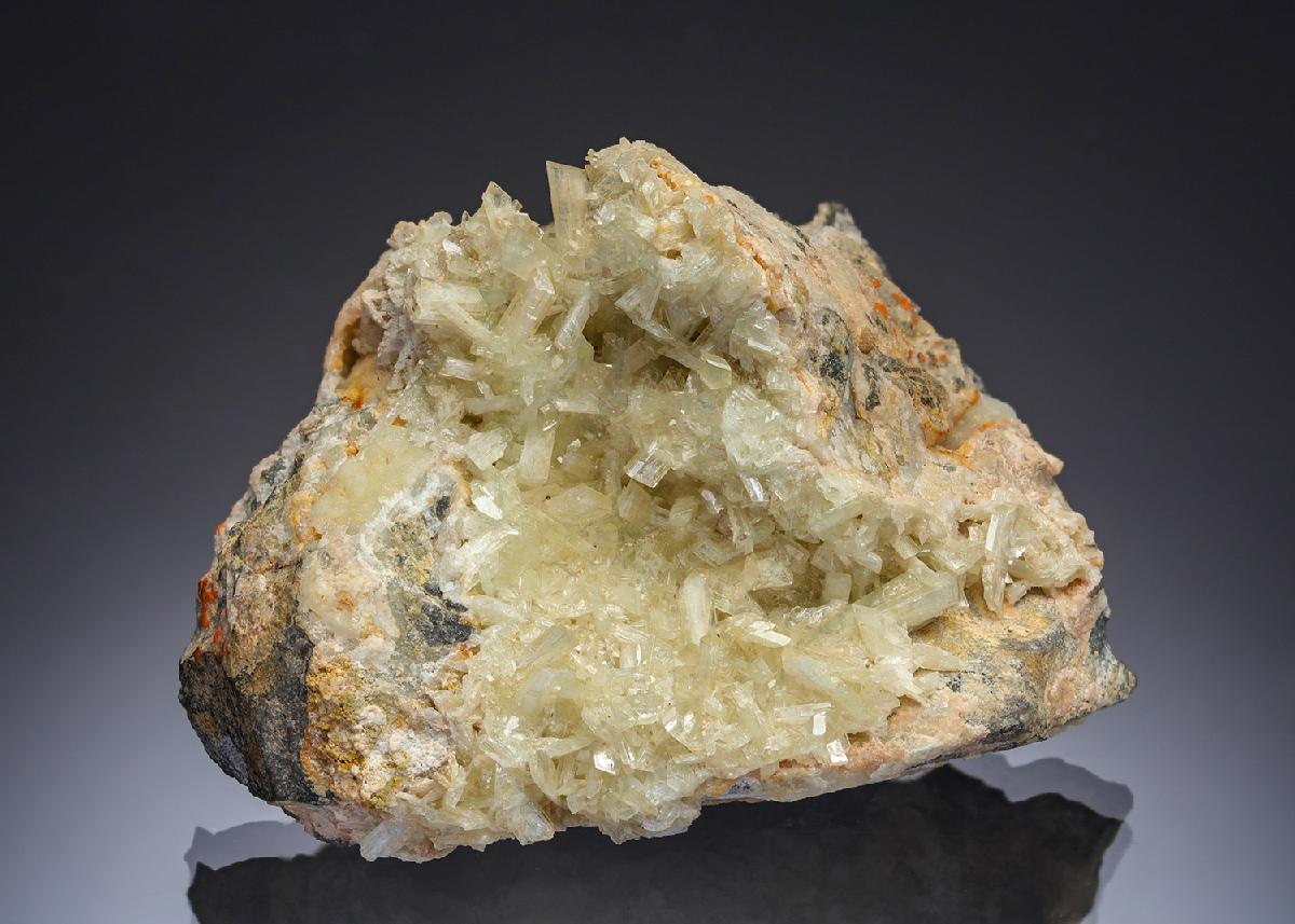 CC29725 specimen image