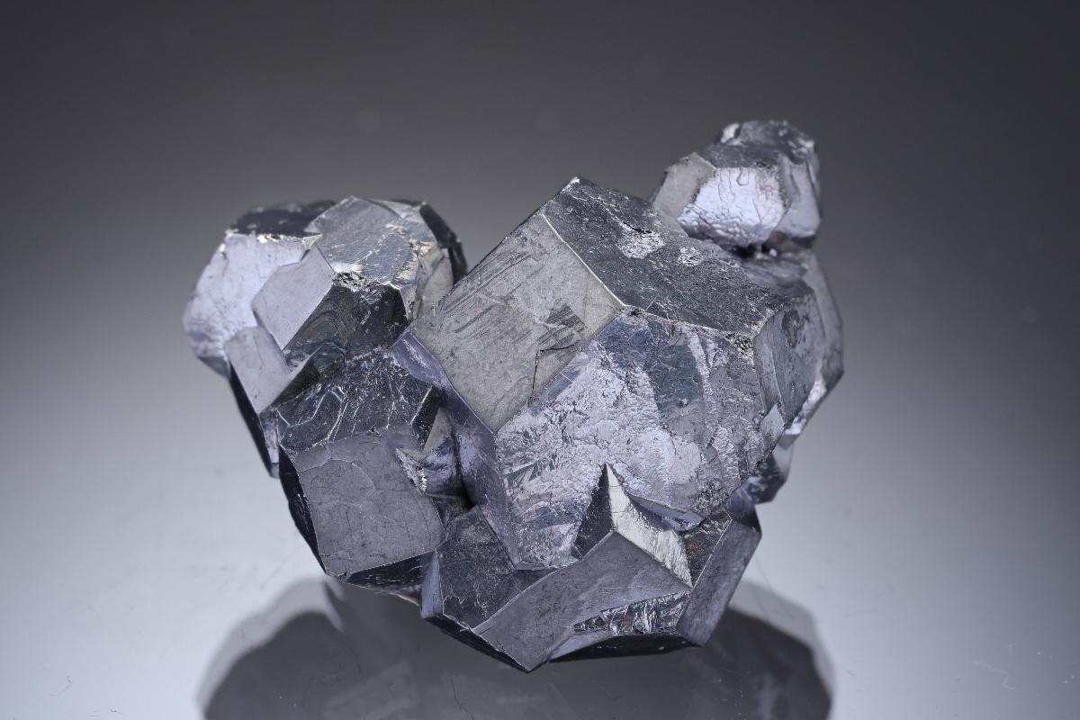 CC29739 specimen image