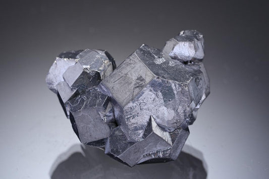 CC29739 specimen image