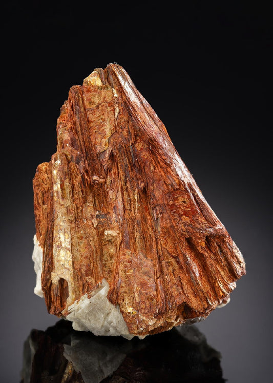 CC29759 specimen image