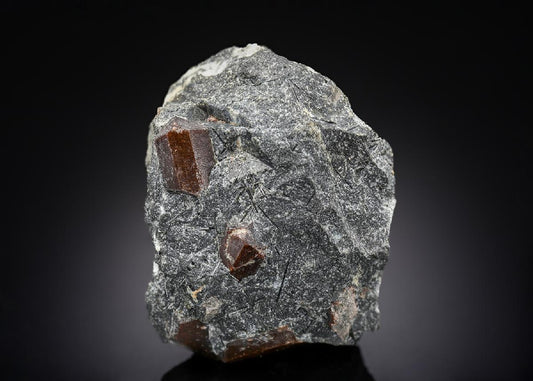 CC29771 specimen image