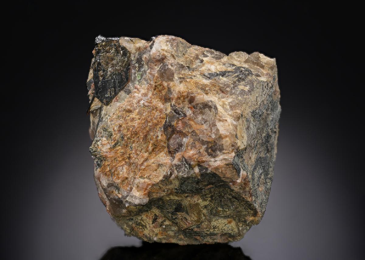 CC29773 specimen image