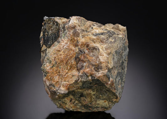 CC29773 specimen image