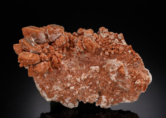 CC29777 specimen image