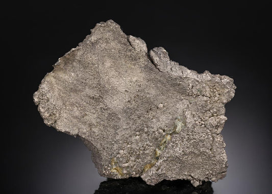 CC29787 specimen image