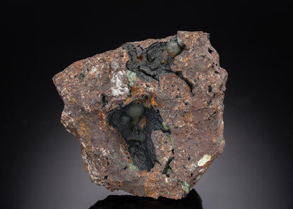 CC29791 specimen image