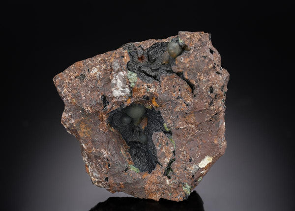 CC29791 specimen image