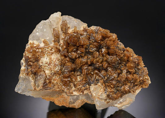 CC29793 specimen image