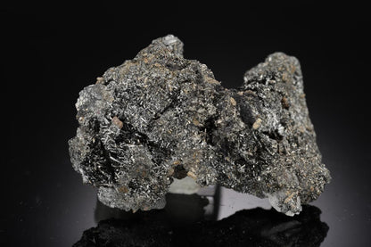 CC29801 specimen image