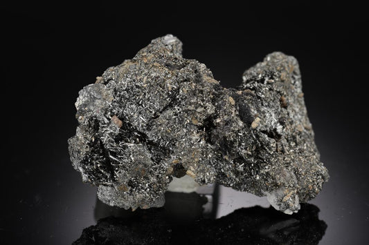 CC29801 specimen image