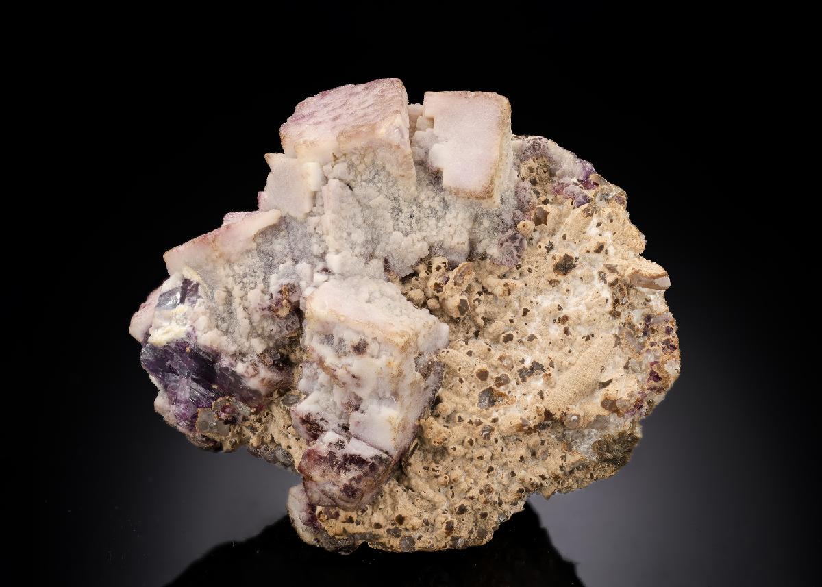 CC29805 specimen image
