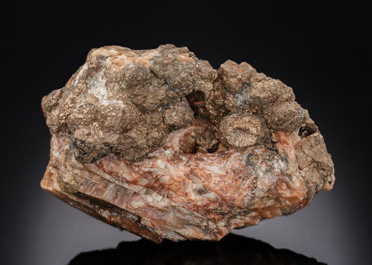 CC29815 specimen image