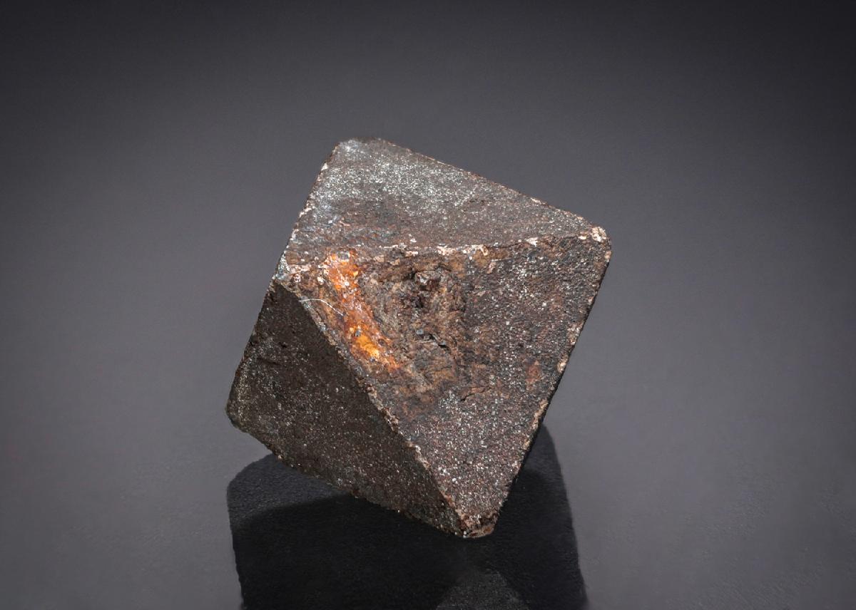 CC29819 specimen image