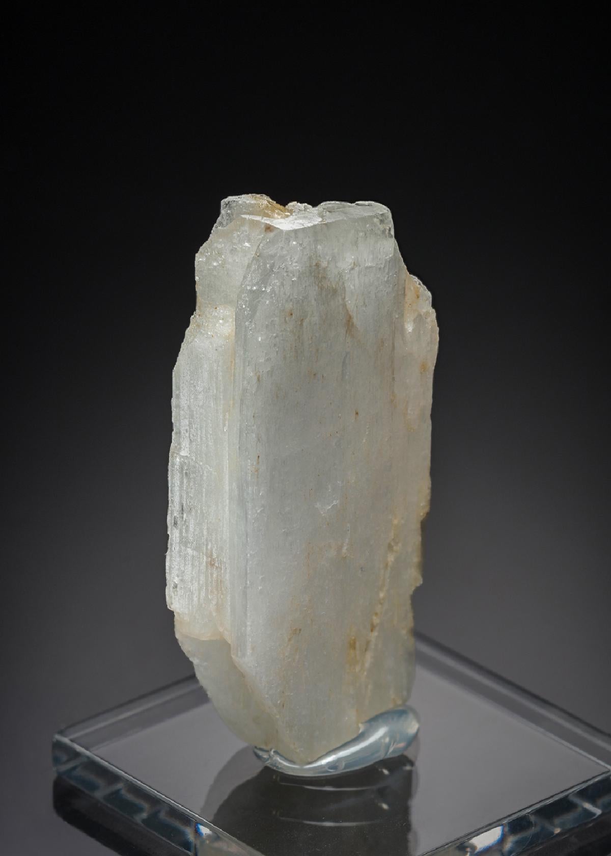 CC29835 specimen image