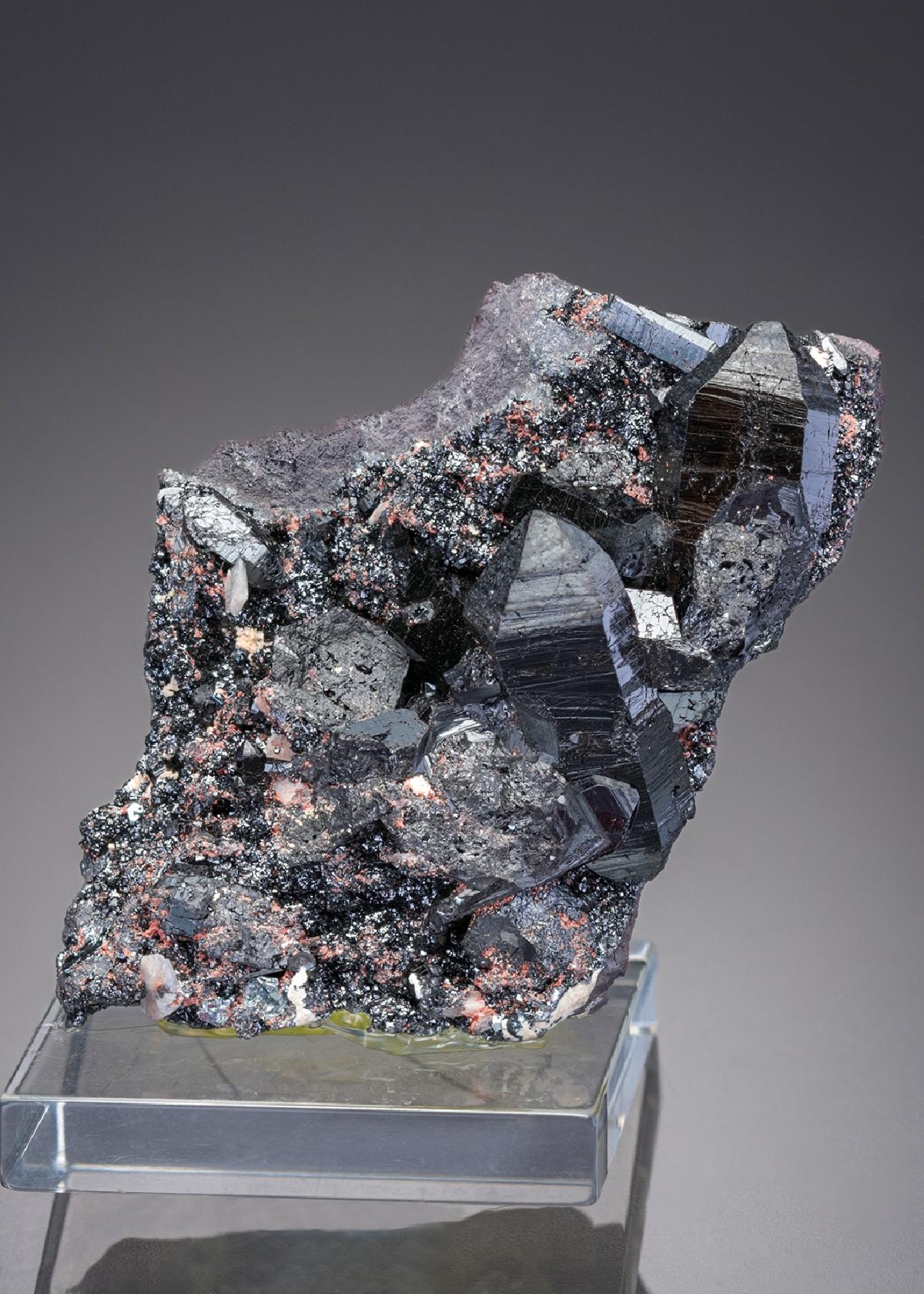 CC29837 specimen image