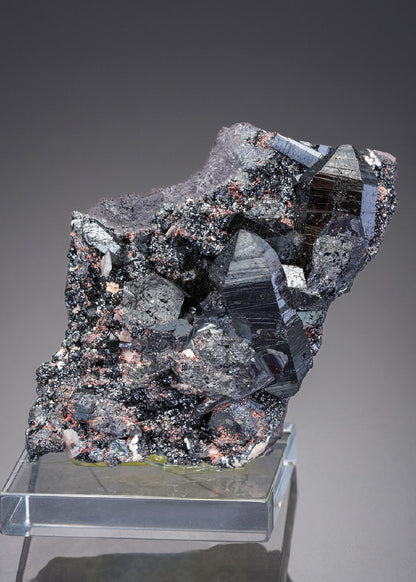 CC29837 specimen image