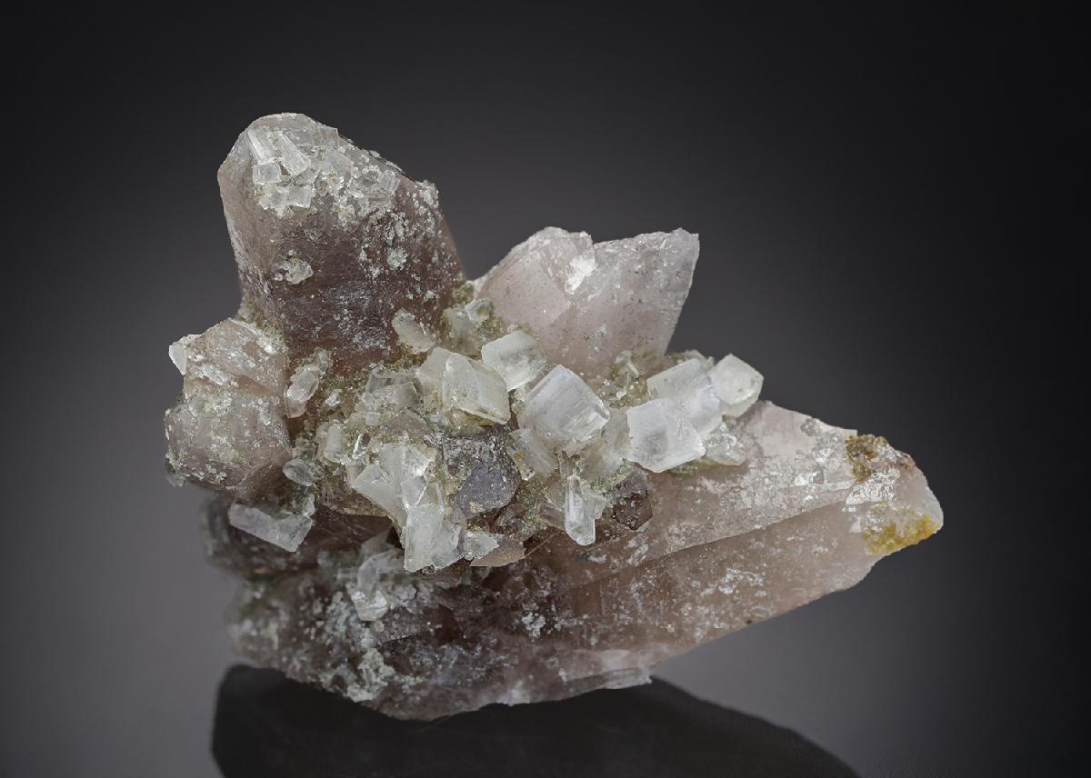 CC29841 specimen image