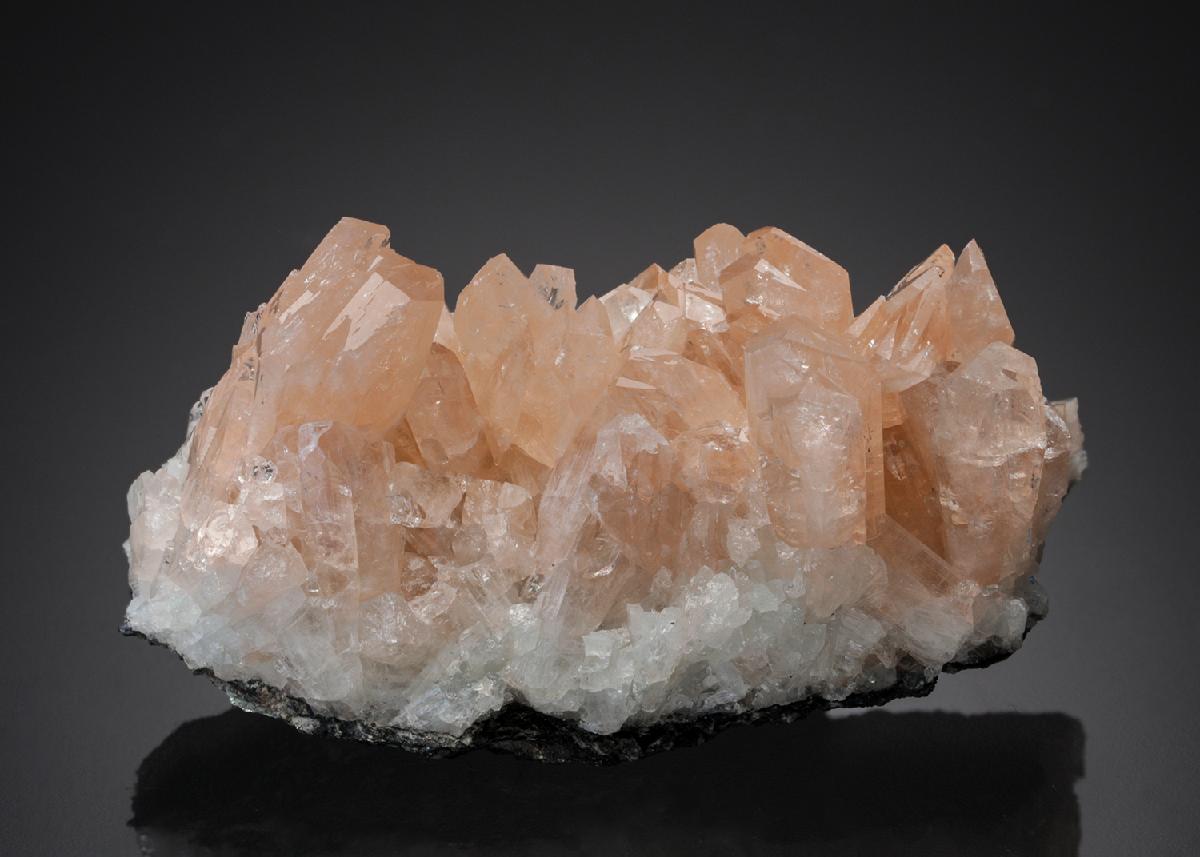 CC29847 specimen image