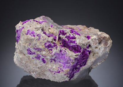 CC29855 specimen image
