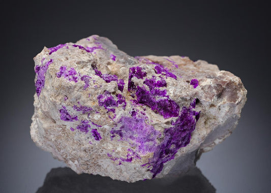 CC29855 specimen image