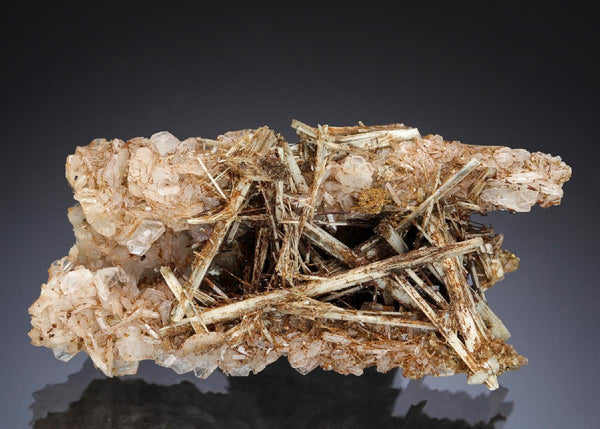 CC29871 specimen image