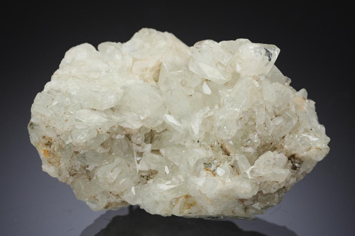 CC29881 specimen image