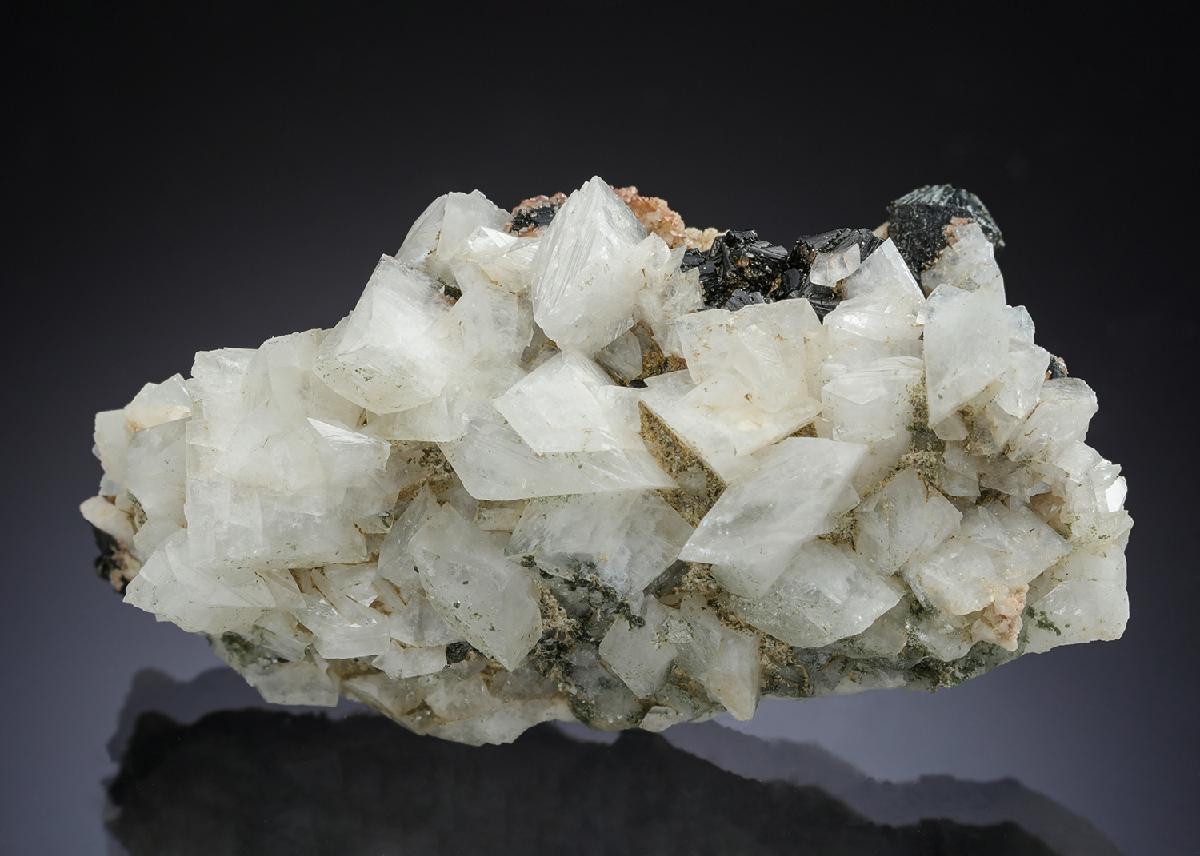 CC29883 specimen image
