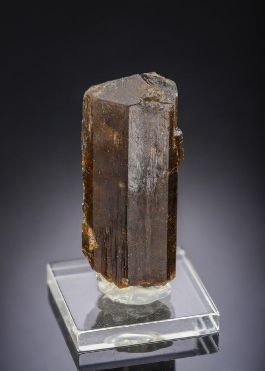 CC29893 specimen image