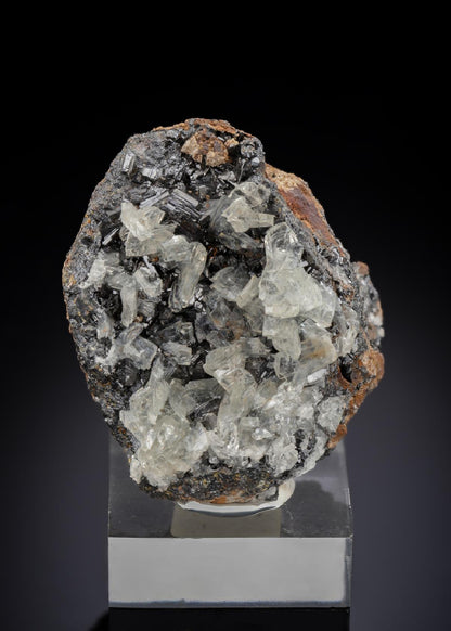 CC29897 specimen image