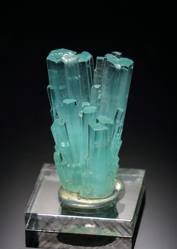 CC2990 specimen image