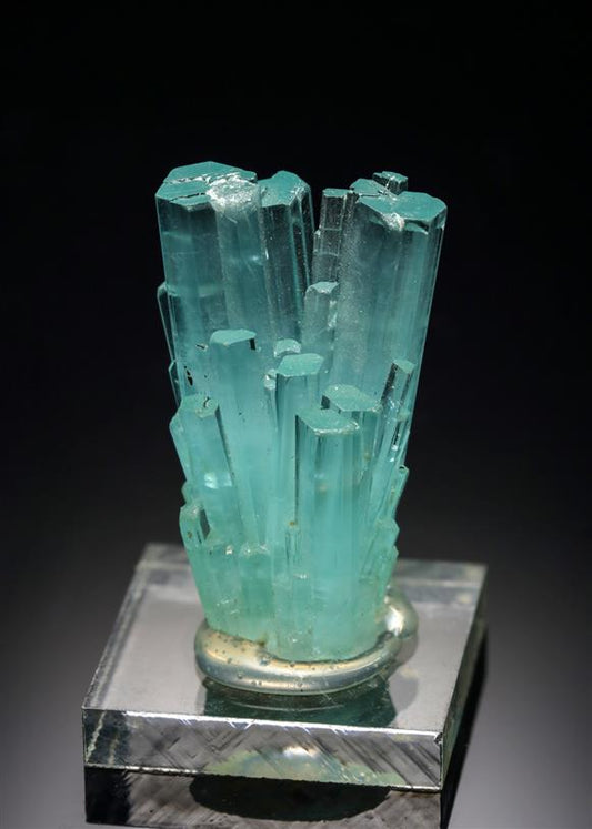 CC2990 specimen image