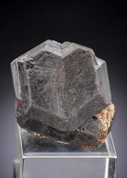 CC29901 specimen image