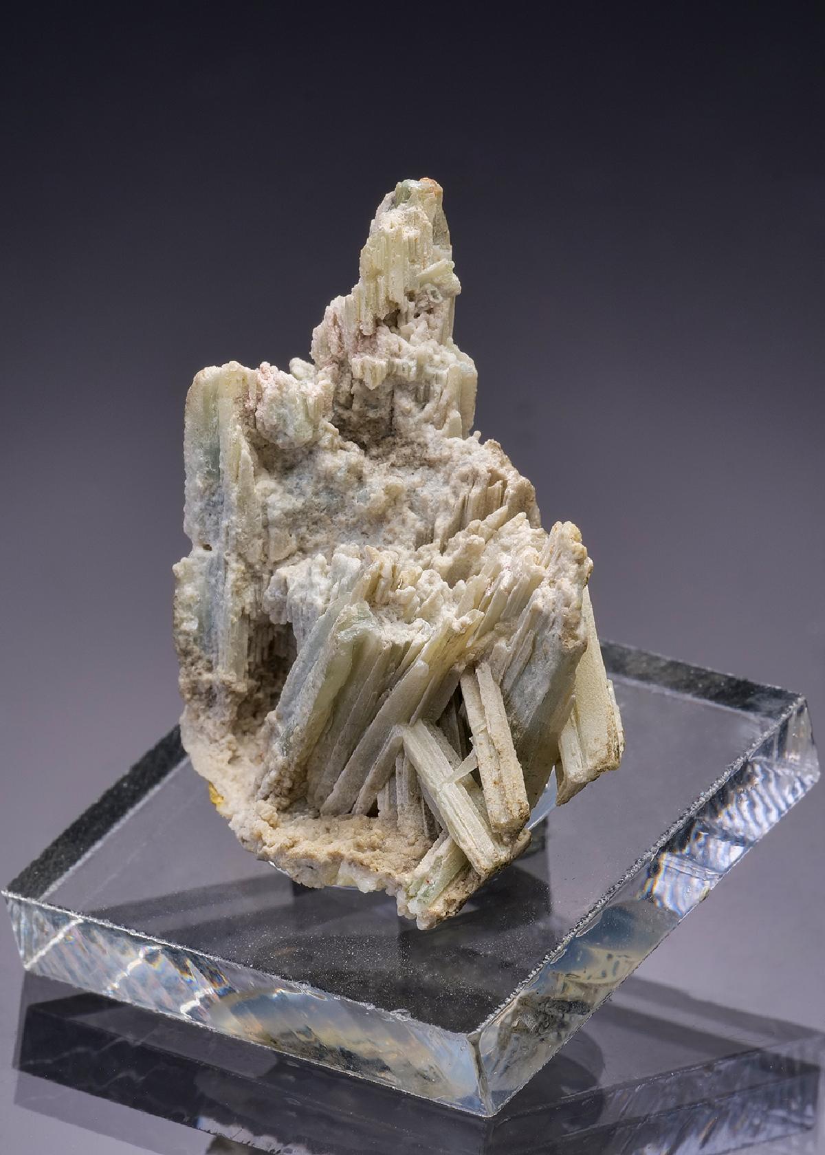 CC29911 specimen image