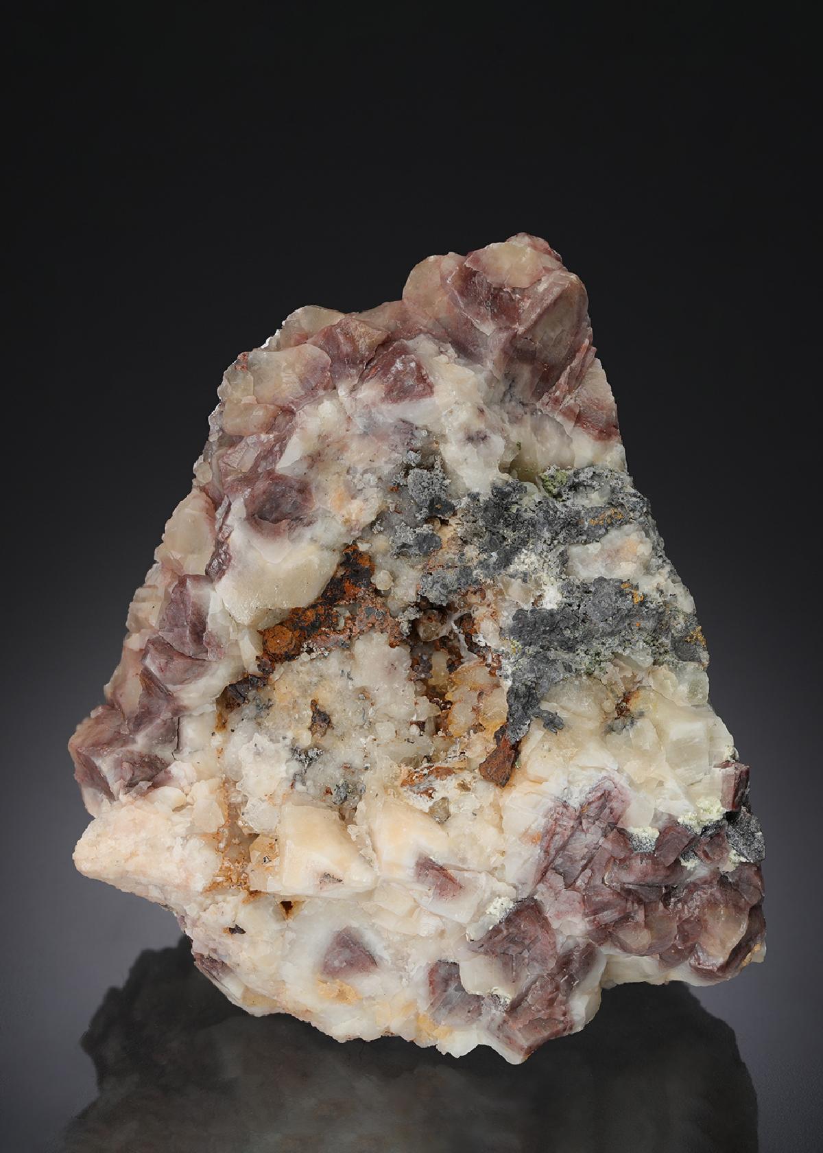 CC29949 specimen image
