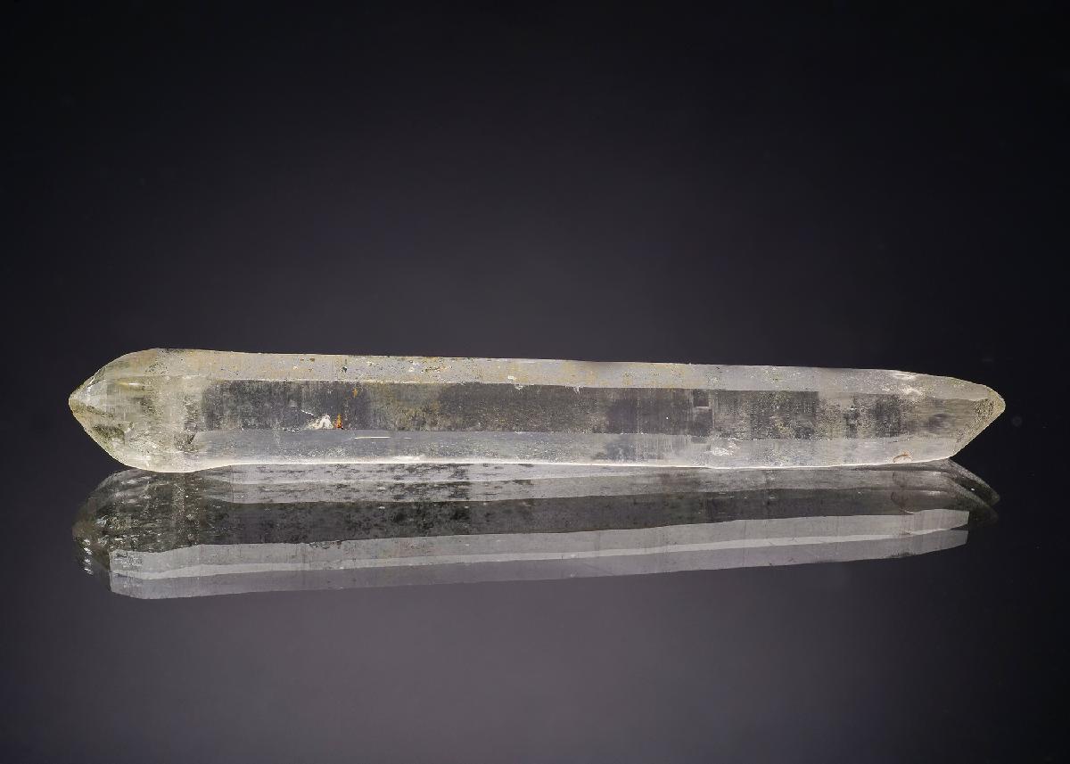 CC29953 specimen image