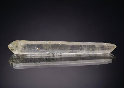 CC29953 specimen image