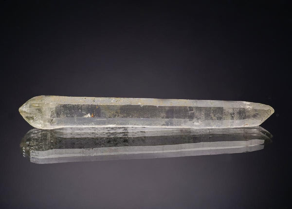 CC29953 specimen image