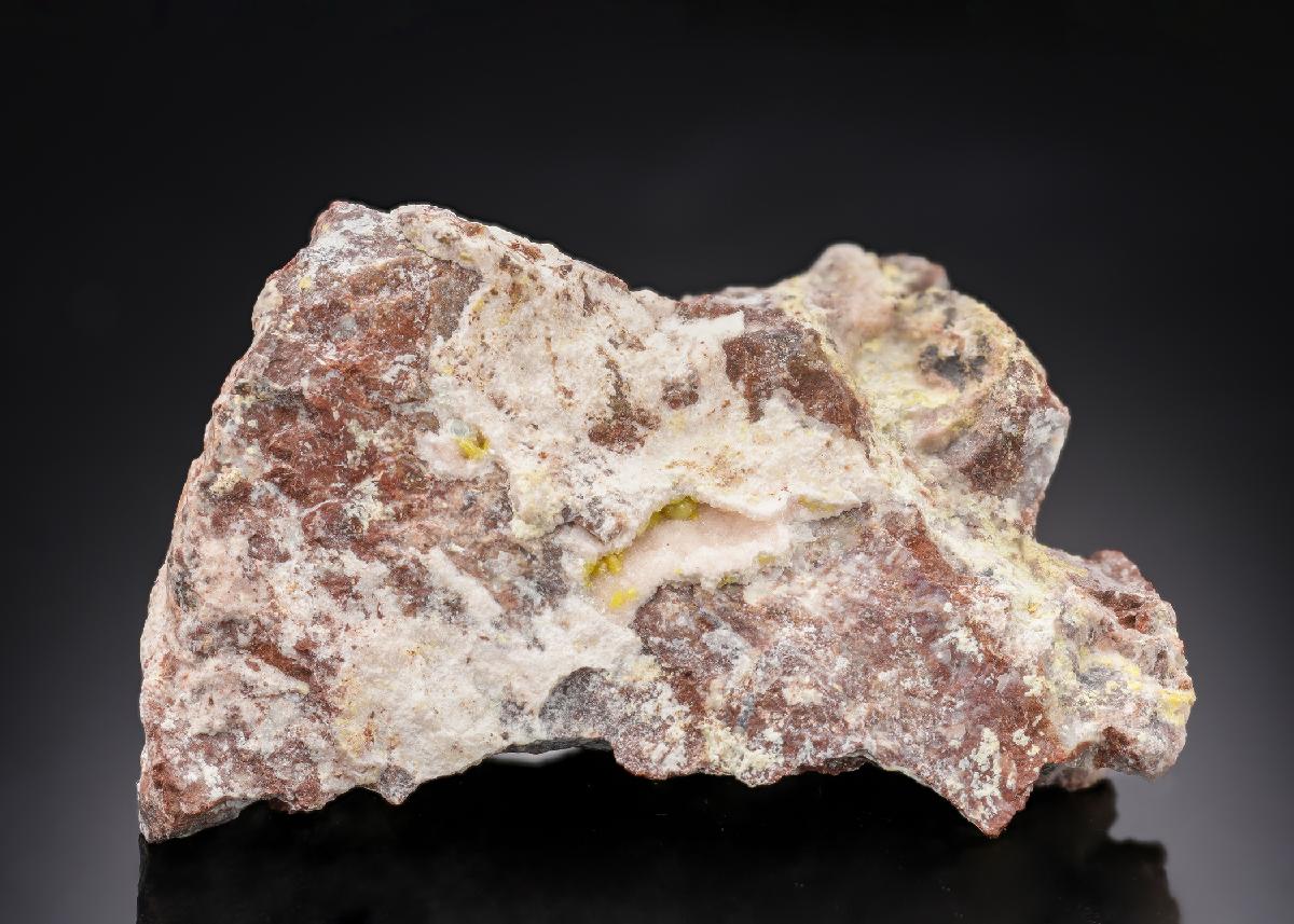 CC29957 specimen image