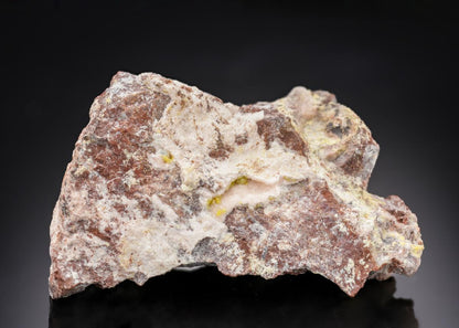 CC29957 specimen image
