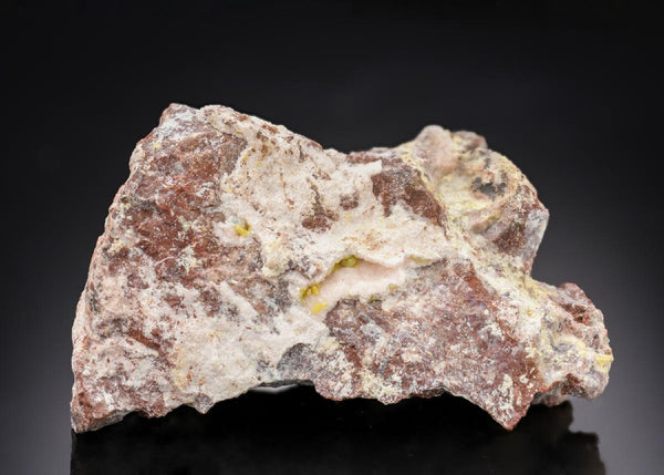 CC29957 specimen image