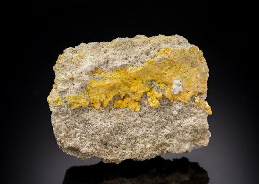 CC29959 specimen image