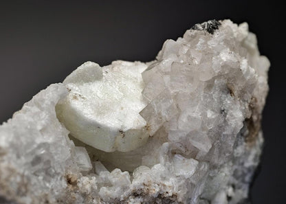 CC29961 specimen image