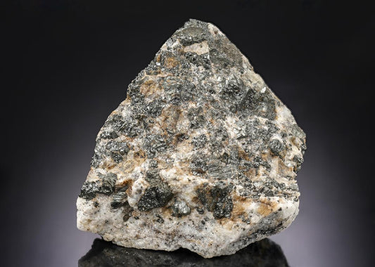 CC29973 specimen image