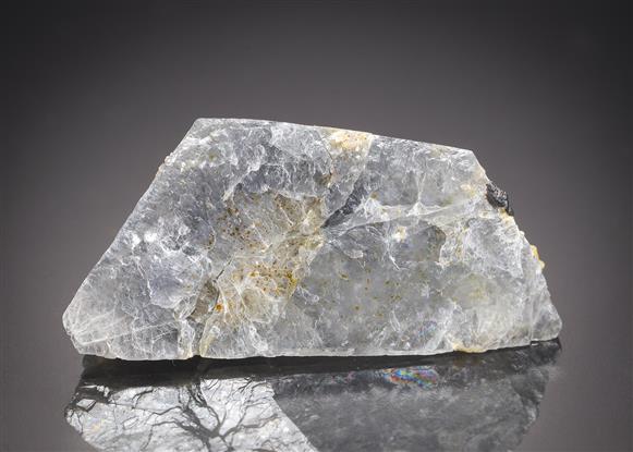 CC2998 specimen image