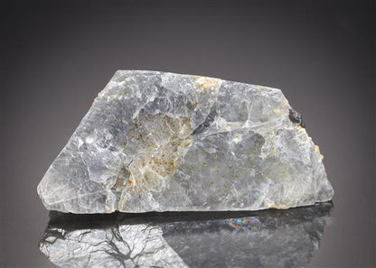 CC2998 specimen image