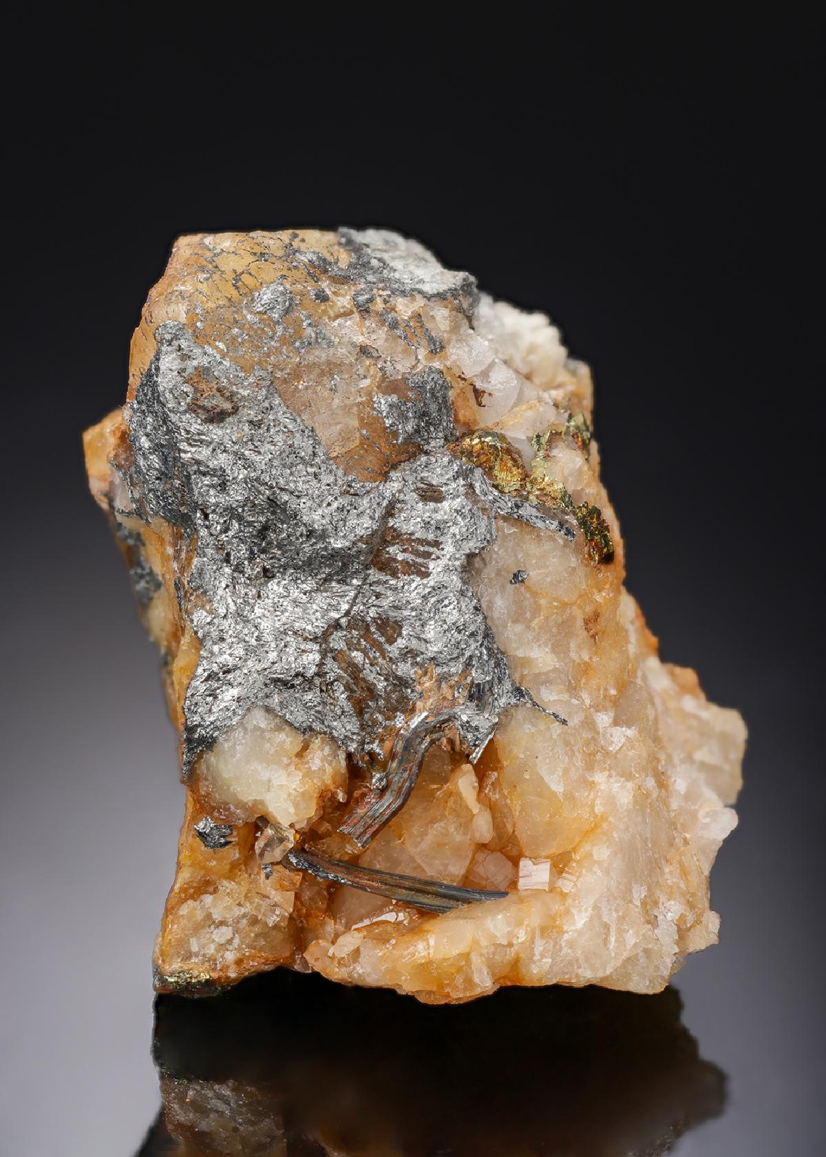 CC29981 specimen image