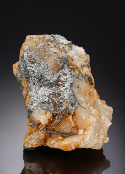CC29981 specimen image