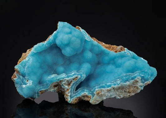 CC29985 specimen image